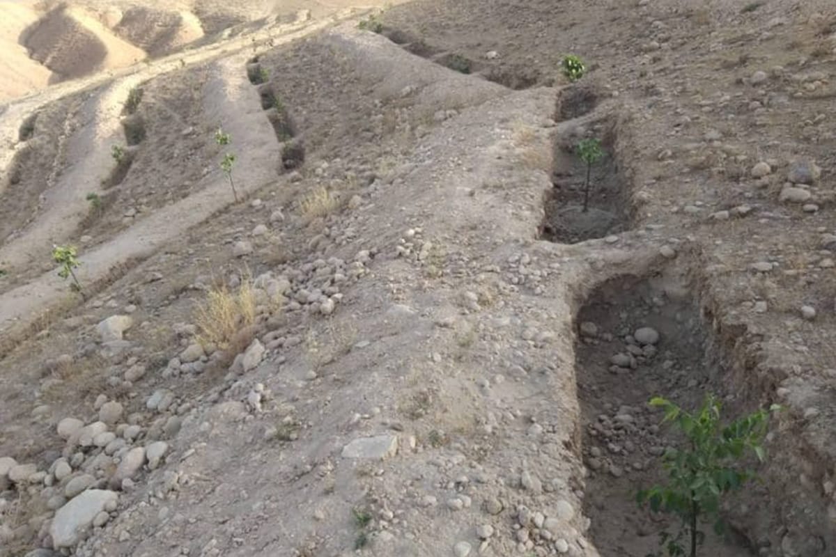 Helping communities to mitigate flood risk through tree planting and improved drainage networks in Pakistan & Afghanistan